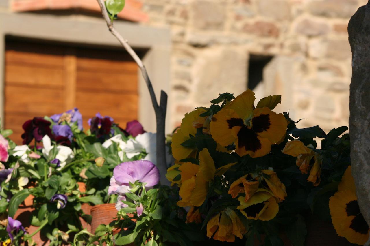 Podere Pian De' Cortini Serravalle (Bibbiena) Exterior foto