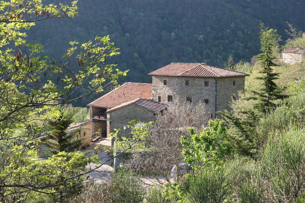 Podere Pian De' Cortini Serravalle (Bibbiena) Exterior foto