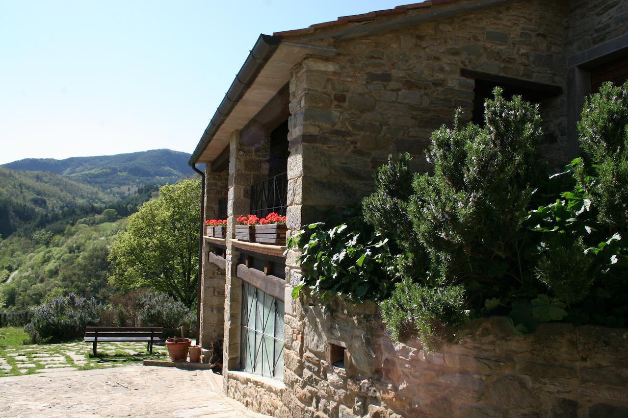 Podere Pian De' Cortini Serravalle (Bibbiena) Exterior foto