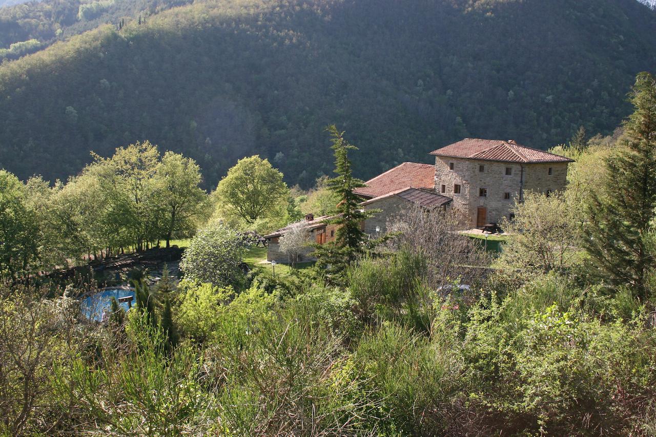 Podere Pian De' Cortini Serravalle (Bibbiena) Exterior foto