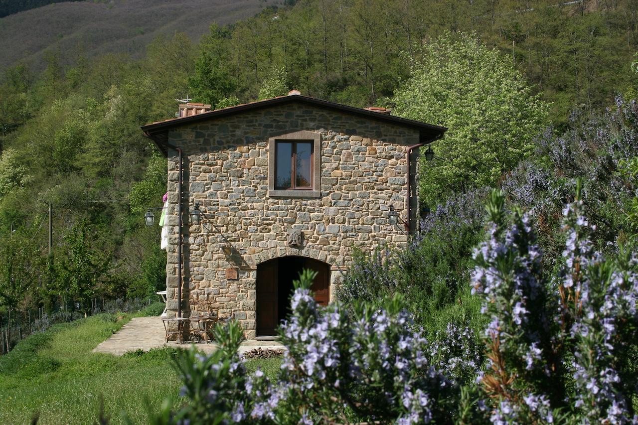 Podere Pian De' Cortini Serravalle (Bibbiena) Exterior foto