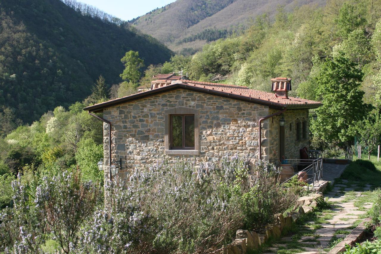 Podere Pian De' Cortini Serravalle (Bibbiena) Exterior foto